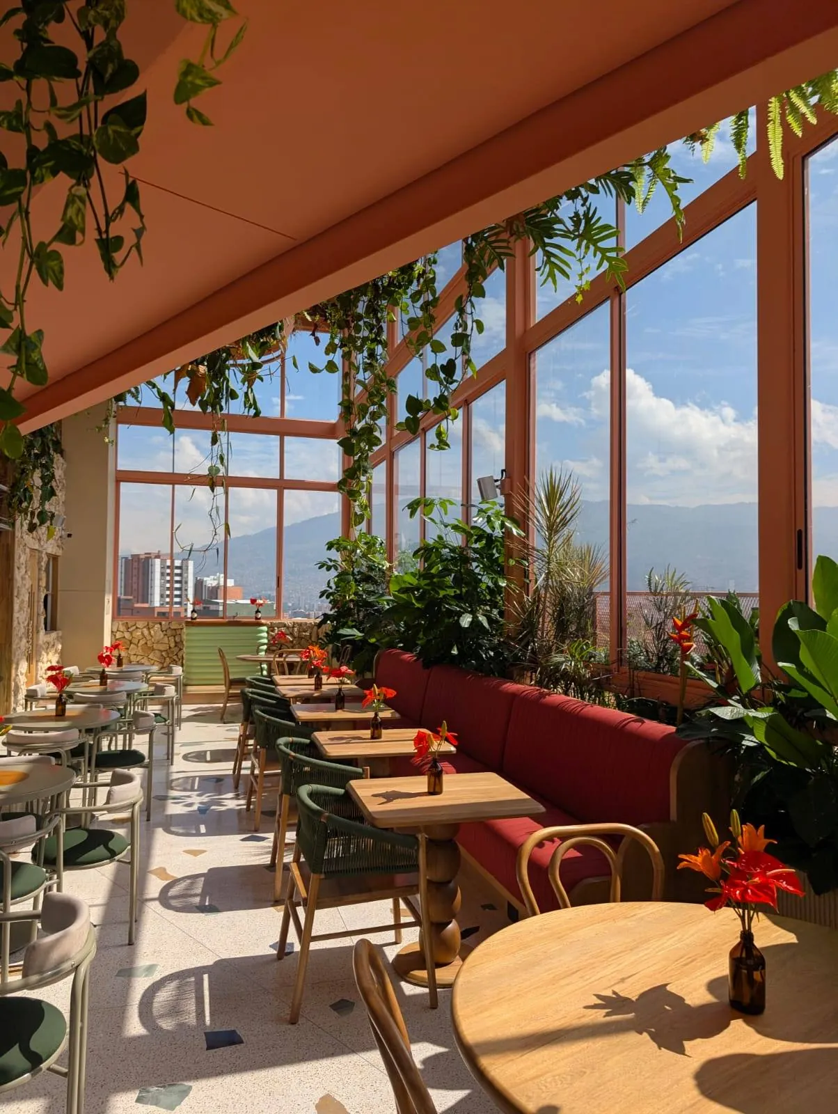 Palma Pitón, restaurante rooftop con vista a la ciudad